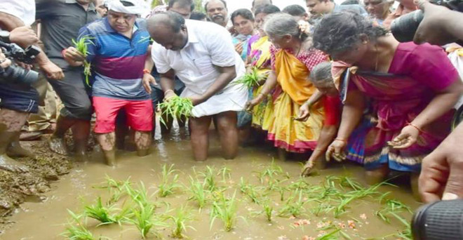 कर्नाटक : मुख्यमंत्री ने किसानों के साथ मिलकर की धान की रोपाई