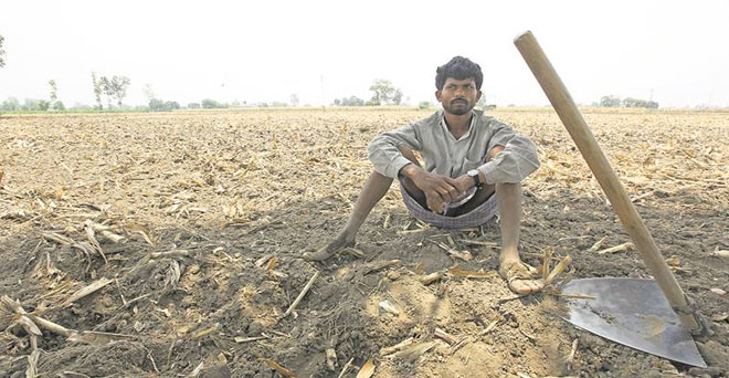 उत्तर प्रदेश, गुजरात समेत कई राज्यों में बारिश में भारी कमी, किसानों की चिंता बढ़ी