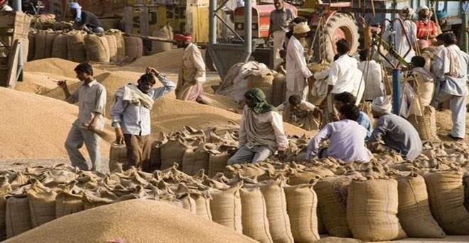 मध्य प्रदेश में गेहूं किसानों को 28 फरवरी तक कराना होगा पंजीकरण