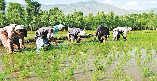 दिसंबर से पीएम-किसान योजना क लाभ पाने के लिए आधार अनिवार्य: केंद्र