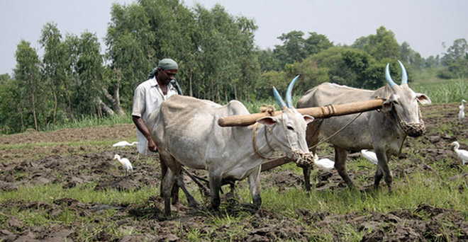 नोटबंदी: परेशान किसानों को राहत, पुराने 500 के नोट से खरीद सकेंगे बीज