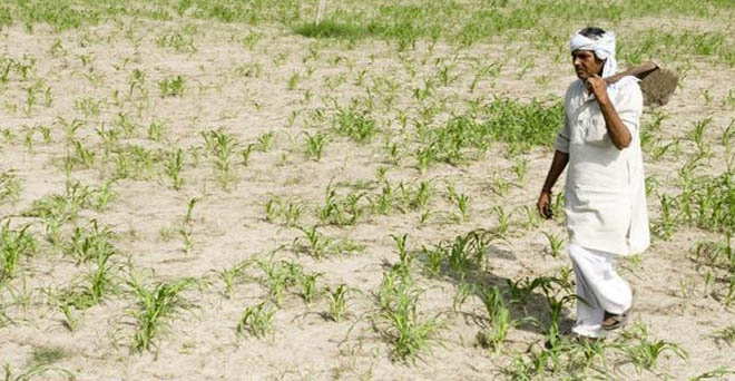 मध्य प्रदेश और छत्तसीगढ़ में किसानों की कर्ज माफी, भाजपा शासित अन्य राज्यों पर बढ़ा दबाव