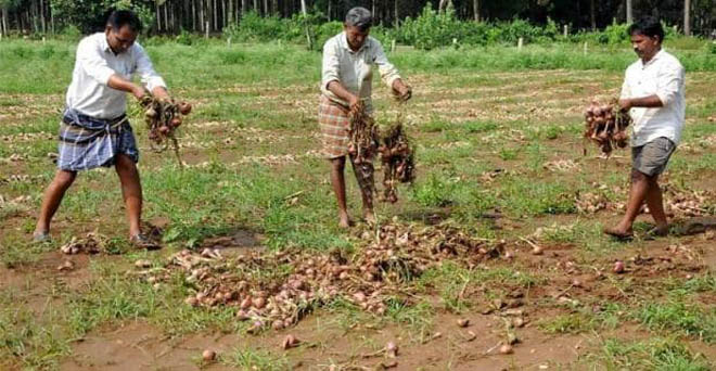 फडणवीस ने बेमौसम बारिश से प्रभावित किसानों को 25 हजार मुआवजा देने की मांग की