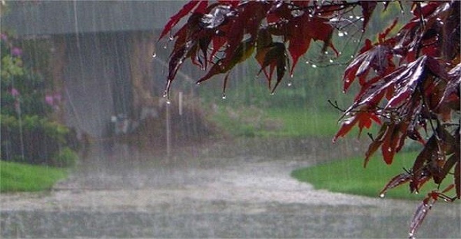 उत्तर प्रदेश एवं बिहार के कई क्षेत्रों में बारिश का अनुमान, उत्तर में घटेगा न्यूनतम तापमान
