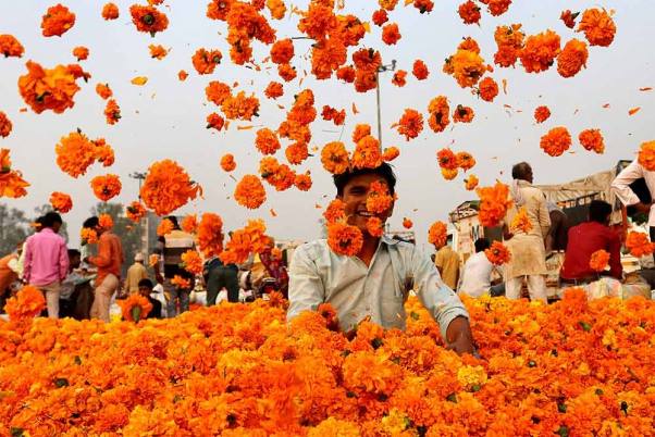 राजधानी दिल्ली स्थित गाजीपुर के बाजार में दिवाली त्योहार के दौरान फूलों की खरीदारी करते लोग