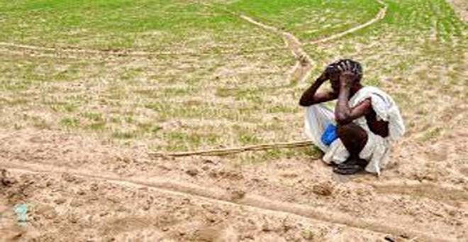 बारिश नहीं होने से नागपुर में पानी की कटौती, फसलों की बुआई पर असर