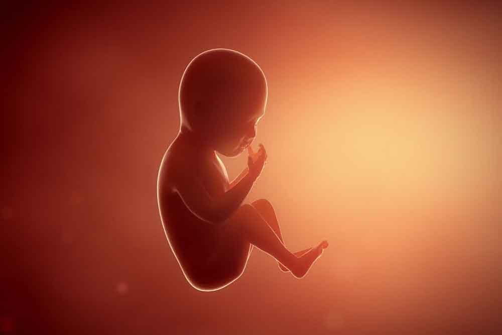 गर्भपात नियम में संशोधन, कानूनी रूप से अब 24 सप्ताह की मियाद