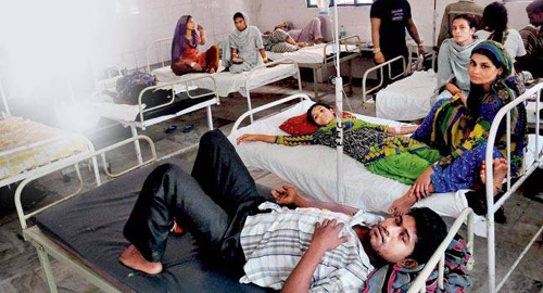 चिकनगुनिया से दिल्ली में हाहाकार, एम्स में 885 लोगों के रक्त के नमूने पॉजीटिव