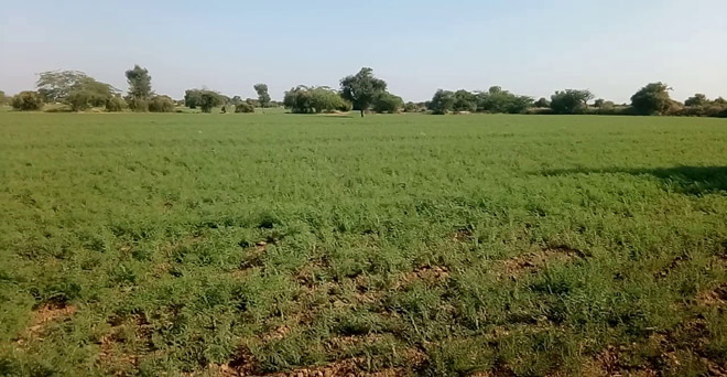 भगवान भरोसे खेती फिर भी पीएम-किसान योजना के लाभ से वचिंत रहेंगे राजस्थान के 40 फीसदी किसान
