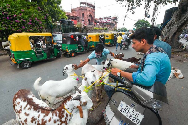 बकरीद से पहले दिल्ली में बकरियों को बेचने के लिए ग्राहकों का इंतजार करता व्यापारी
