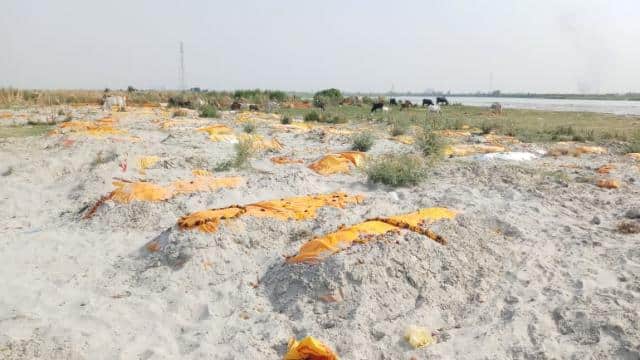 यूपी: उन्नाव से सामने आईं भयावह तस्वीरें, गंगा नदी के किनारे रेत में दफन किए गए सैंकड़ों शव