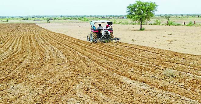 राजस्थान : रबी फसलों की बुवाई 5.3 फीसदी पिछड़ी, चना और सरसों की बढ़ी