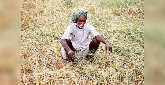 बिहार : खराब हुई फसलों से प्रभावित किसानों को सहायता राशि दी जायेगी-मुख्यमंत्री