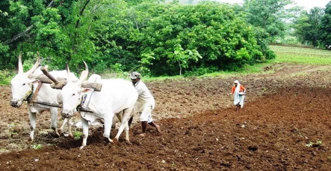 किसानों की कर्जमाफी का रघुराम राजन ने किया विरोध, कहा- राजस्‍व को होगा नुकसान