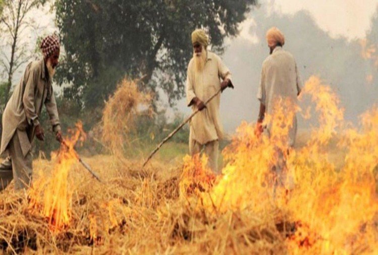 कृषि विधेयकों के खिलाफ किसानों का गुस्सा पराली पर, 5 नवम्बर को पंजाब का 'धुआं' दिल्ली तक