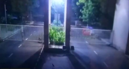 Video: गुजरात सचिवालय में घुसा तेंदुआ, पकड़ने के लिए कई टीमें मौके पर मौजूद