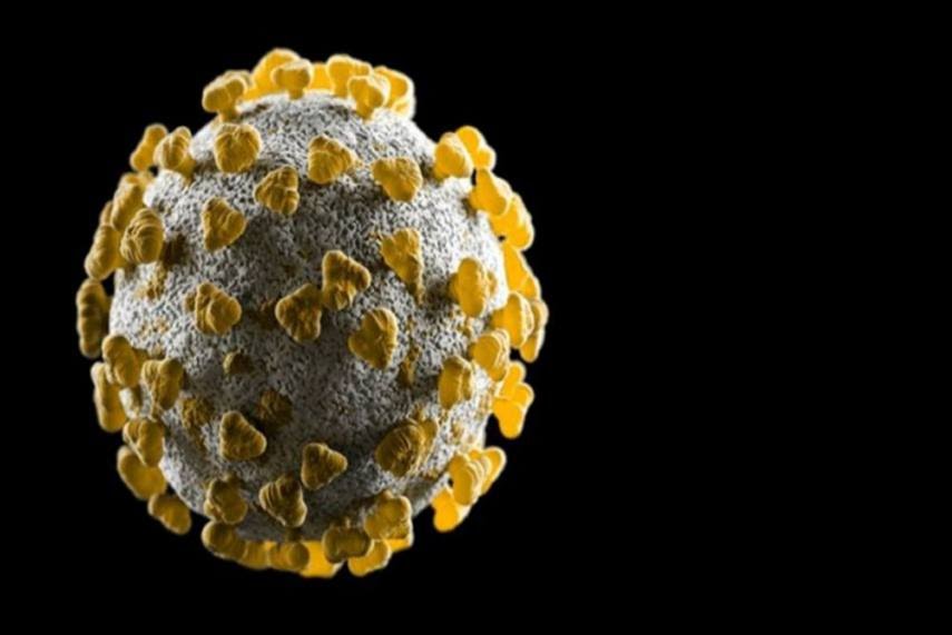 कोरोना वायरस: डेल्टा से भी ज्यादा खतरनाक हो सकता है लैम्बडा वैरिएंट, जानें क्यों है चिंताजनक
