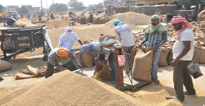 चावल की सरकारी खरीद 101 लाख टन के पार, लक्ष्य 416 लाख टन का