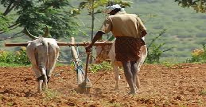 झारखंड बजट : पहले चरण में किसानों के 50,000 रुपये तक के कर्ज होंगे माफ