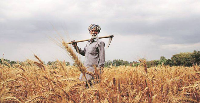 जलवायु परिवर्तन के कारण किसानों की आय में कमी की आशंका—आर्थिक सर्वेक्षण
