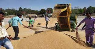 हरियाणा की मंडियों में यूपी, राजस्थान के किसानों की गेहूं खरीद नहीं, पोर्टल पर पंजीकरण जरूरी
