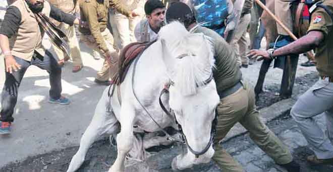 चर्चा: घोड़े की चिन्ता, नहीं इंसानों की