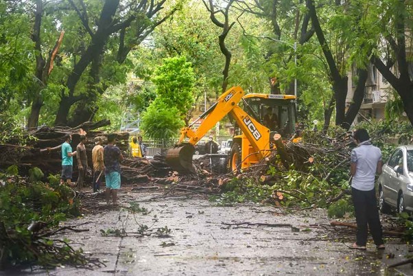 मुंबई में चक्रवाती तूफान निसर्ग के कारण सड़कों पर गिरे पेड़ों को हटाने के लिए बुलडोजर का इस्तेमाल करते नगर निगम के कार्यकर्ता