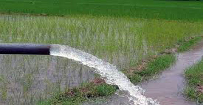 हरियाणा और पश्चिमी उत्तर प्रदेश में बारिश की कमी से धान किसानों की लागत बढ़ी