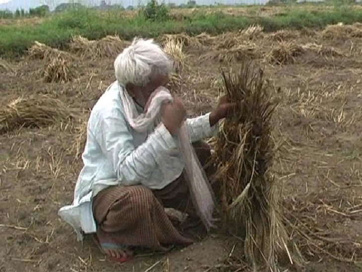 किसान ने फसल बीमा के लिए 350 रुपये की किस्त भरी, मुआवजा मिला 2 रुपये