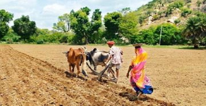 राजस्थान में आठ लाख से अधिक किसान फसल ऋण प्रणाली से जुडे़