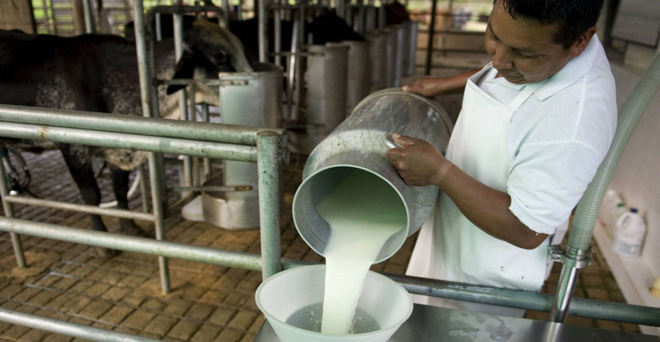 महाराष्ट्र : बैंक खातें नहीं मिलने से दूध किसानों की 225 करोड़ रुपये सब्सिडी रुकी