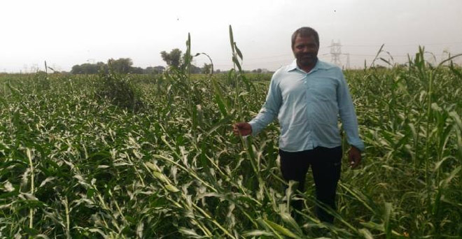 महाराष्ट्र के मुख्यमंत्री ने कलेक्टरों से की मुलाकात, बाढ़ प्रभावित किसानों को राहत देने के निर्देश