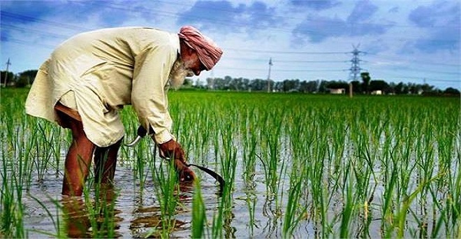 पीएसएसी कृषि और इससे जुड़े क्षेत्रों पर ध्यान केन्द्रित करें : अमरिन्दर सिंह