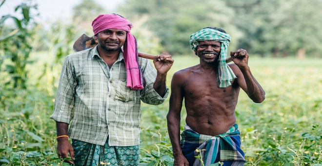 ओडिशा सरकार ने कृषि नीति 2020 को मंजूरी दी, किसानों की आय बढ़ाना मकसद
