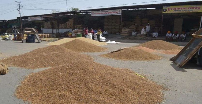 प्रमुख उत्पादक राज्यों के किसानों को नहीं मिलेगा चना एवं मसूर की सरकारी खरीद का लाभ