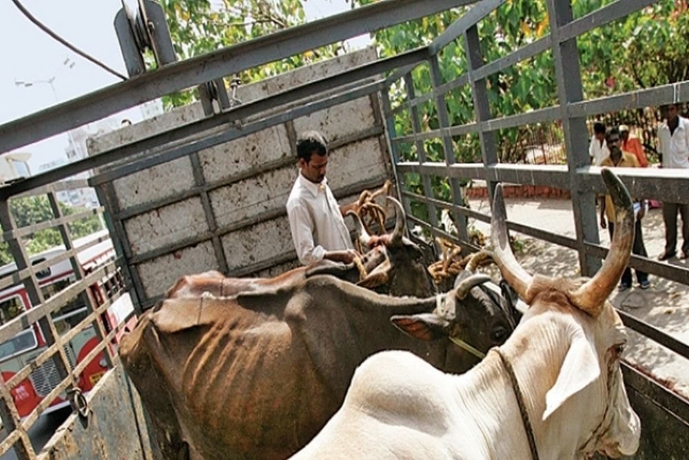 दिल्ली में गोहत्या के शक में राजाराम की पीट-पीट कर हत्या, पत्नी ने कहा- गाय का दूध बेचता था पति