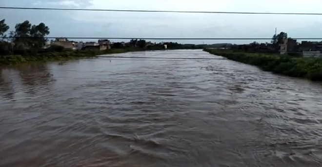 बाढ़ से हरियाणा में धान, गन्ने और मक्का की फसल को नुकसान की आशंका