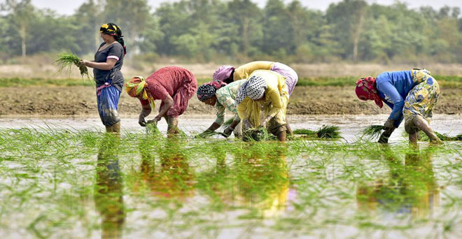 किसानों को होगा फायदा, जुलाई में 101 फीसदी बारिश का अनुमान