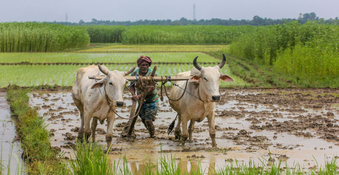 पश्चिम बंगाल के एक भी किसान को नहीं मिला पीएम किसान योजना का लाभ