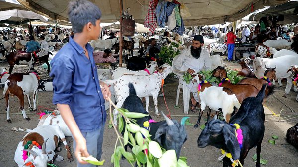 कश्मीर में ईद की नमाज पढ़ने के लिए मिलेगी इजाजत, त्यौहारी खरीदारी के लिए बाजार खुले