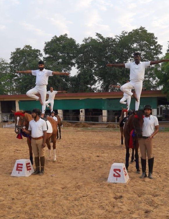 सीमा सुरक्षा बल की घुड़सवार टीम ने गुरुग्राम के बीएसएफ कैंप में घोड़ों के ऊपर योगाभ्यास किया