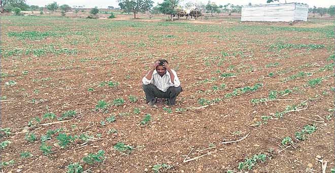 महाराष्ट्र के मराठवाड़ा में 21 दिन में 66 किसान दे चुके है जान