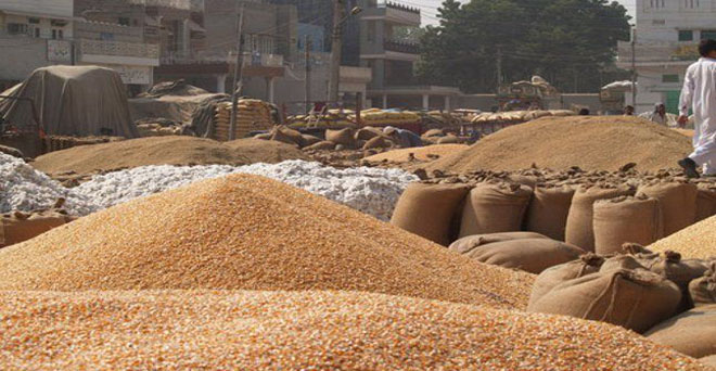 राजस्थान में खाद्यान्न उत्पादन में कमी की आशंका