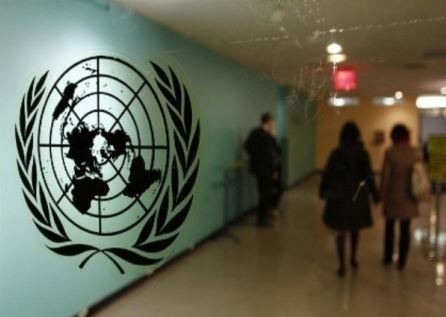 ‘यह मर रहा, ‘कृपया इसे बचा लें, गाजा की बर्बादी पर छलका दर्द: संयुक्त राष्ट्र एजेंसी की कर्मचारी