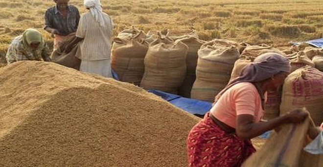 केंद्र ने राज्य से कहा खाद्यान्न के थोक विक्रेताओं को किसानों से सीधी खरीद की दे अनुमति