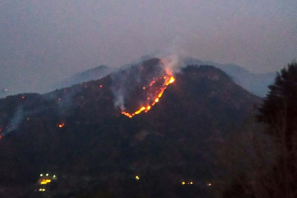 नैनीताल के भीमताल इलाके में जुनस्तात के जंगल में लगी आग