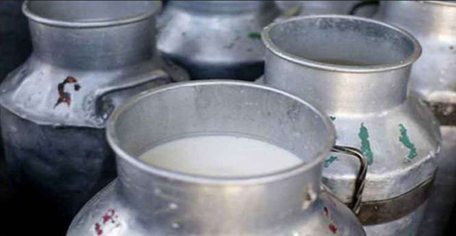 महाराष्ट्र सरकार ने दूध की कीमत 25 रुपये लीटर की तय, किसानों ने समाप्त किया आंदोलन