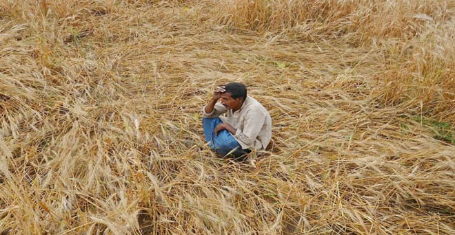 फसलों को नुकसान होने पर किसानों को बिहार में राज्य सरकार देगी मुआवजा