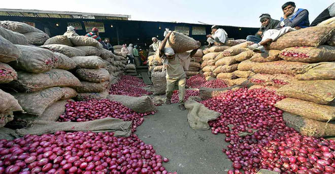 प्याज के भाव में आई भारी गिरावट, 3 से 8 रुपये मिल रहे हैं किसानों को दाम