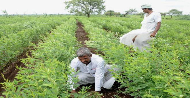किसानों की आय बढ़ाने के लिए कृषि निर्यात नीति लायेगी सरकार-प्रधानमंत्री